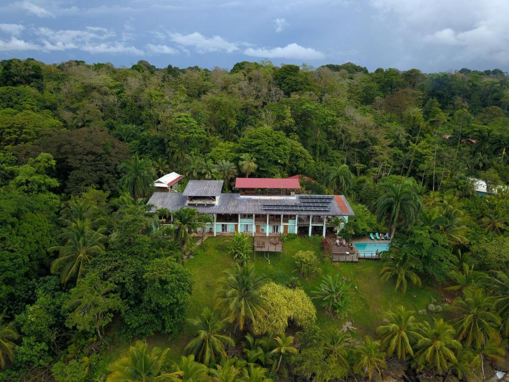 uma vista aérea de uma casa na floresta em Bird Island Bungalows em Bocas del Toro