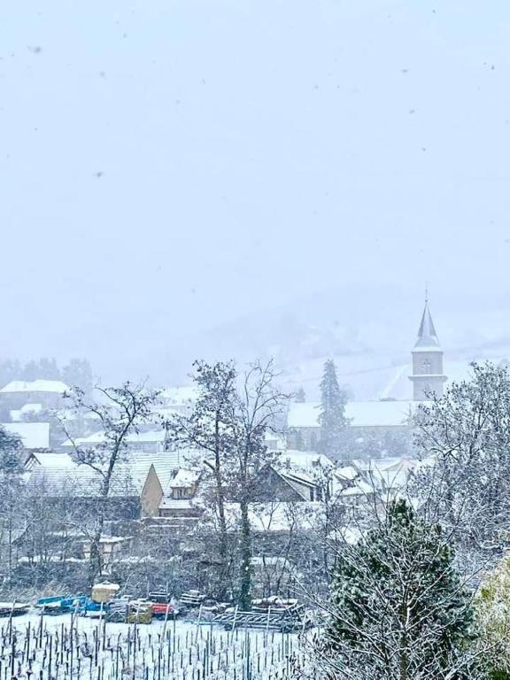 Gite See You Soon - Maisonnette Green Lodge – photo 39