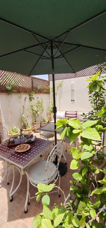 Un jardín fuera de Dar Salam Palm - 2024 Travellers' choice