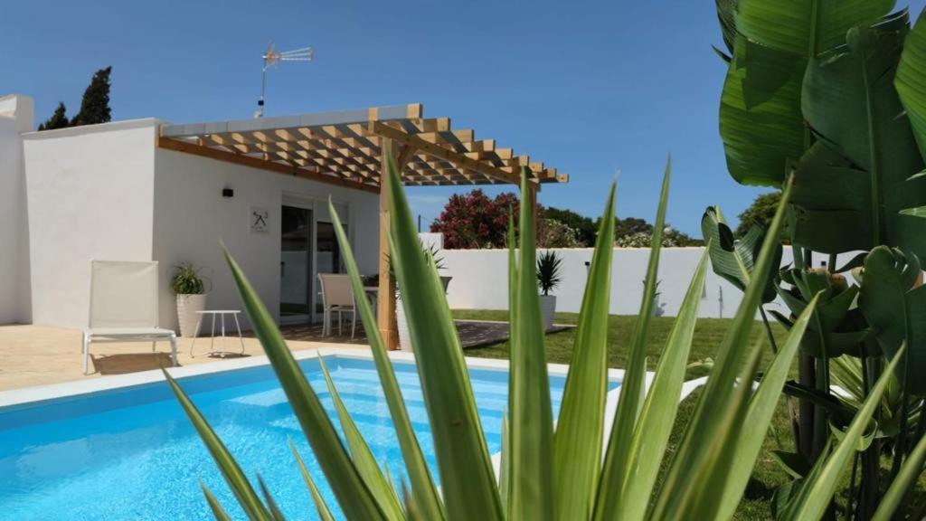 Bazén v ubytovaní PALAPA GARDEN alojamientos, piscina privada y cerca del mar alebo v jeho blízkosti