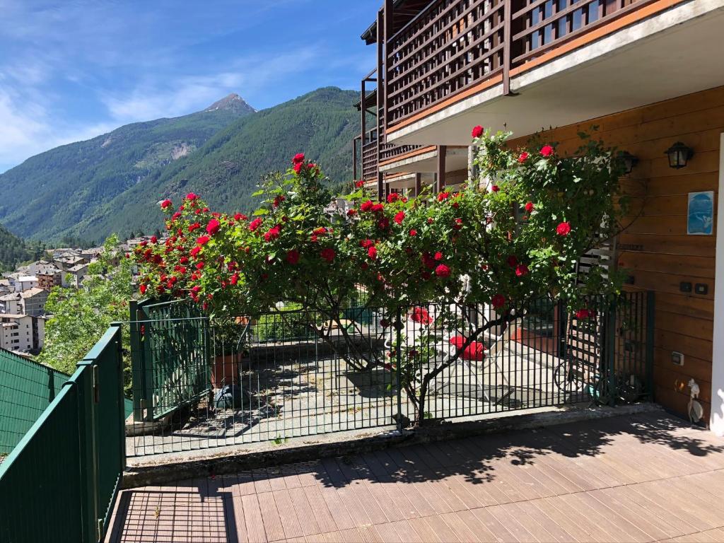 a balcony with red roses on a building at Appartamento Castel in Chiesa in Valmalenco