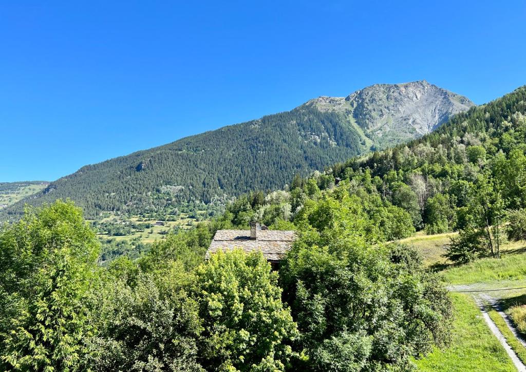 Gallery image of Chalet Altus in Sainte-Foy-Tarentaise