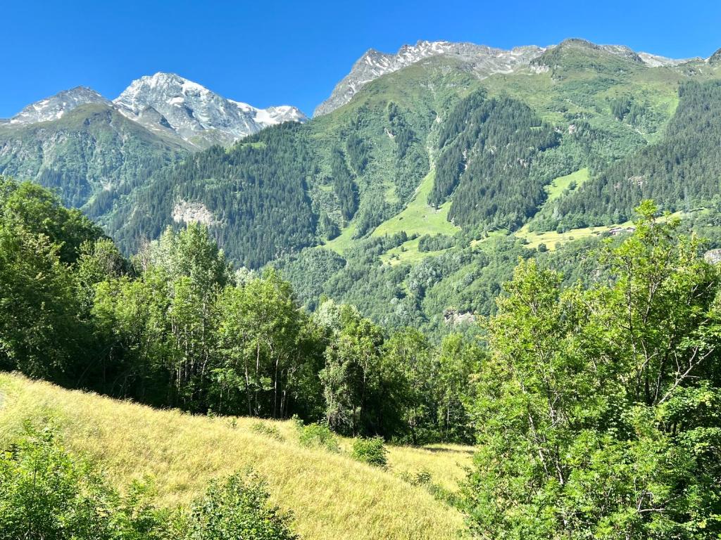 Gallery image of Chalet Altus in Sainte-Foy-Tarentaise