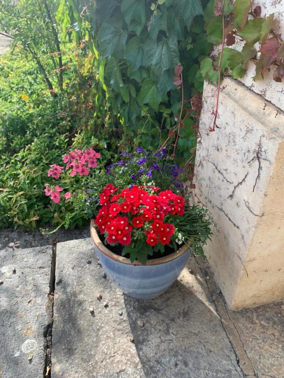 Zahrada ubytování Chambres d'hôtes Maison Redon