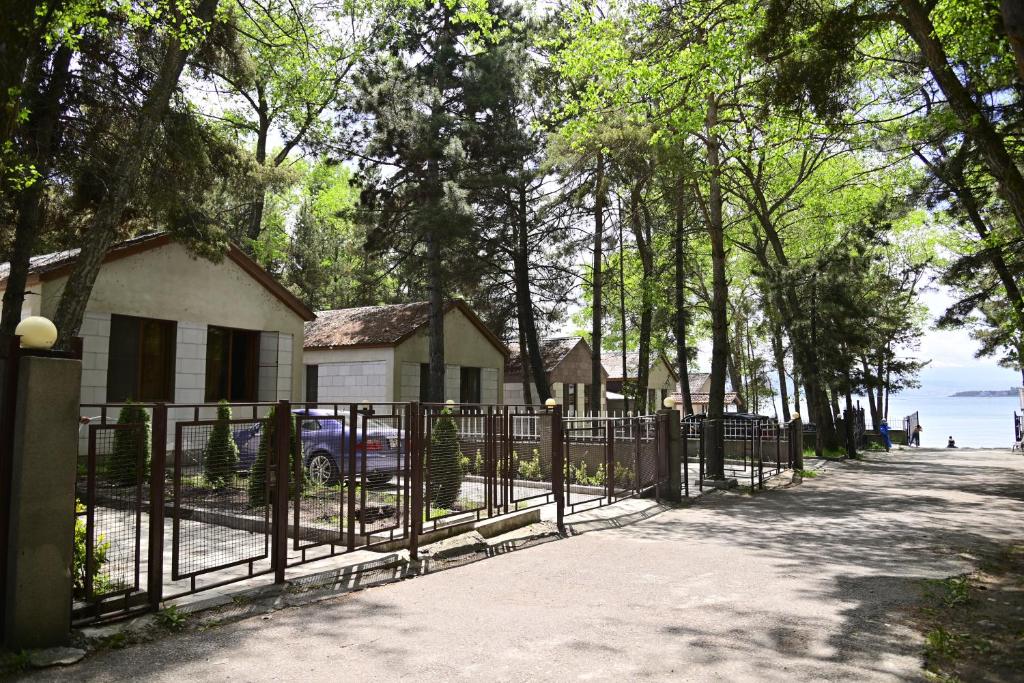 Příroda nedaleko prázdninového domu