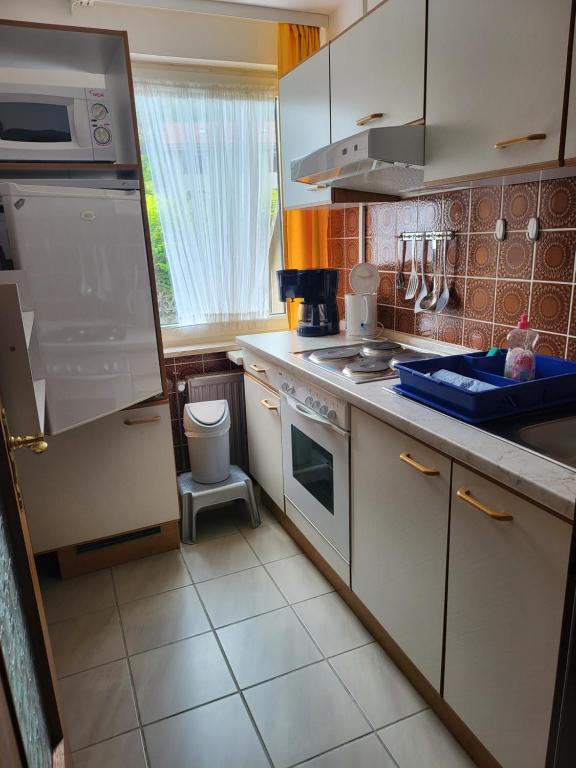 Kuchyň nebo kuchyňský kout v ubytování Hotel Zur Schanze