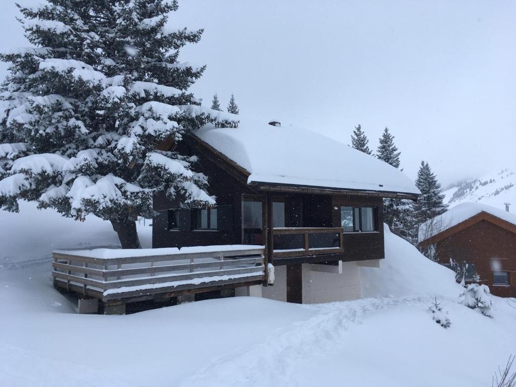 eine schneebedeckte Hütte mit einem schneebedeckten Baum in der Unterkunft HAMEAU DU RUISSEAU in Manigod