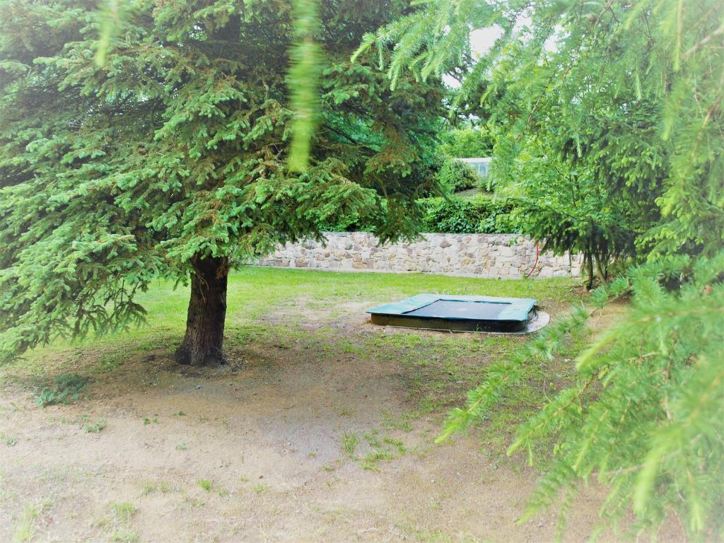 Zahrada ubytování Resort LUFT Sněžník