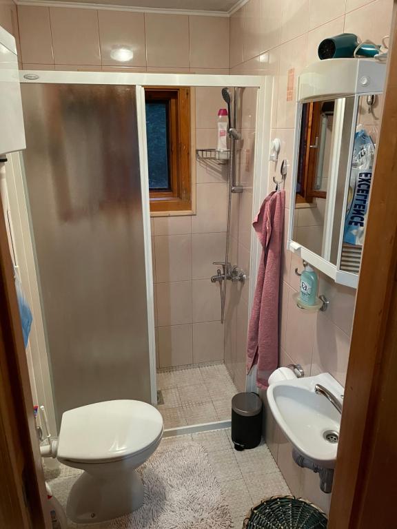 Koupelna v ubytování Hiša pod Rogatcem