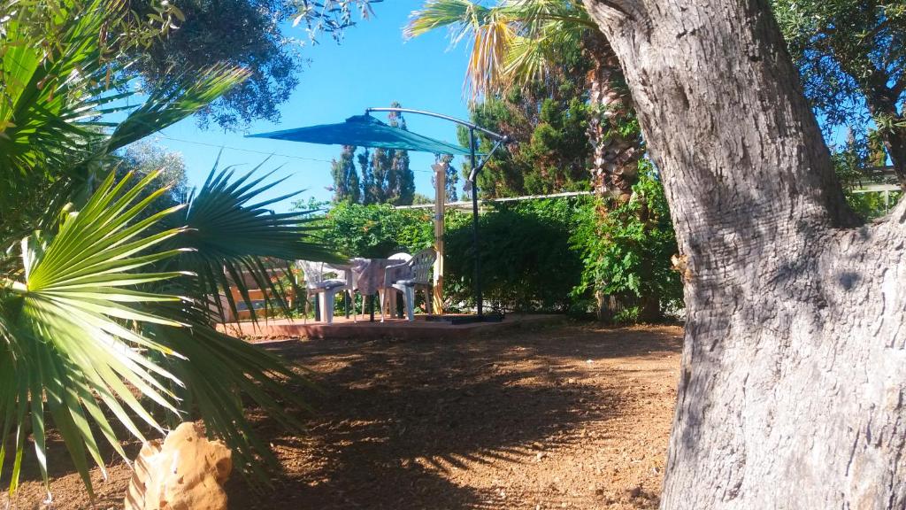 Vonkajšia záhrada v ubytovaní Alghero Guest House - Appartamenti in Villetta di Campagna, Piscina fuori terra a 4 minuti di auto dalla città