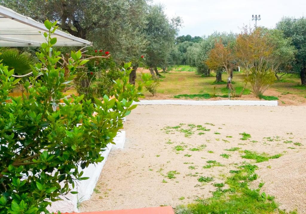 Vonkajšia záhrada v ubytovaní Alghero Guest House - Appartamenti in Villetta di Campagna, Piscina fuori terra a 4 minuti di auto dalla città