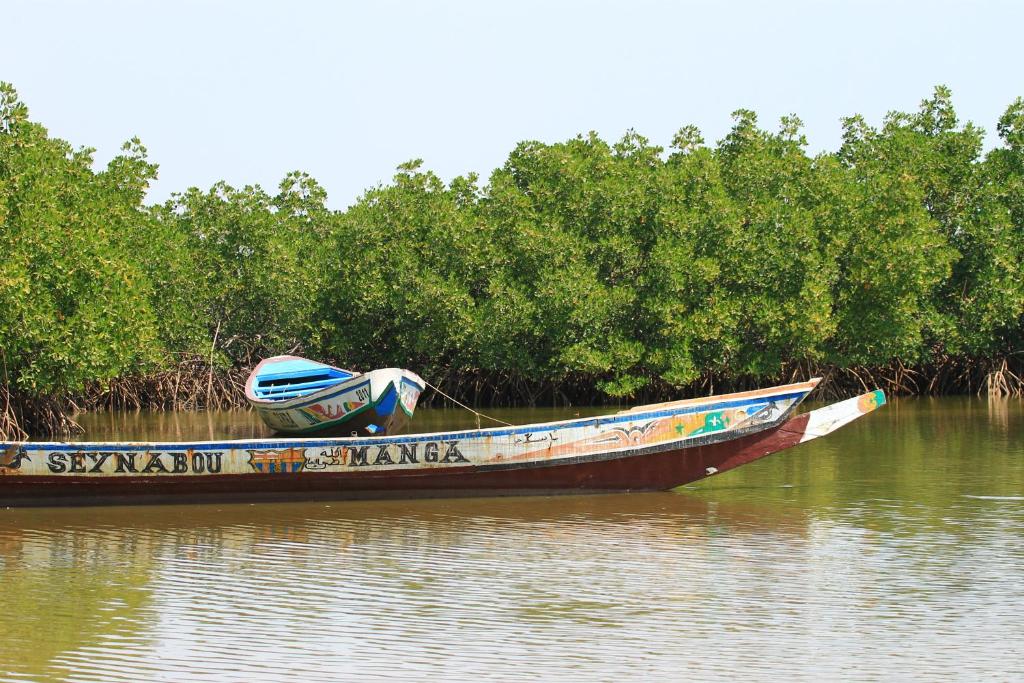 un bateau assis dans l'eau à côté des arbres dans l'établissement Bolongs Passion, à Cap Skirring