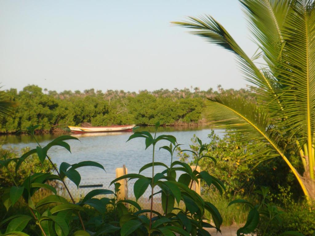 a boat on a river with trees in the background at Bolongs Passion in Cap Skirring