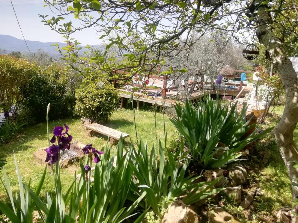 un jardin avec des fleurs violettes devant une maison dans l'établissement Casa Quercioli, à Pulicciano