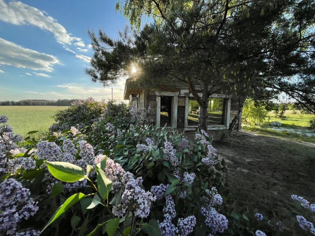 Chata Rosochata - Four-Bedroom House