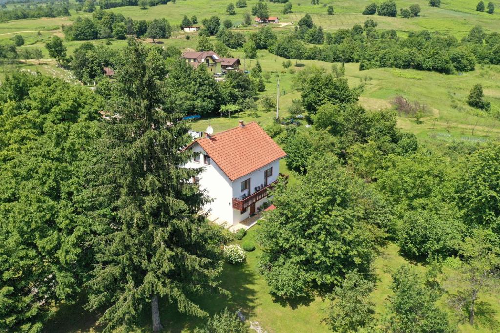 an aerial view of a white house with a red roof at Apartment and Rooms Ivancica in Seliste Dreznicko