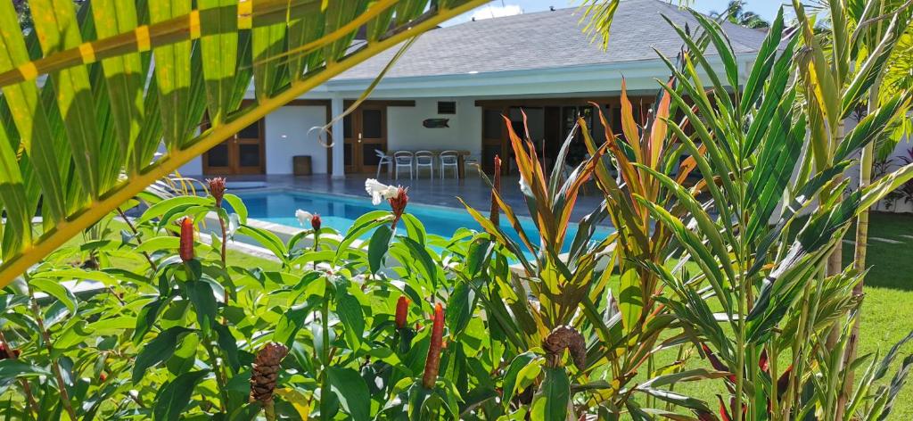 Bazén v ubytování Flor de Coco, Villa neuve, 5 chambres, 5 salles de bains et grande piscine à 250 mètres de la plage nebo v jeho okolí