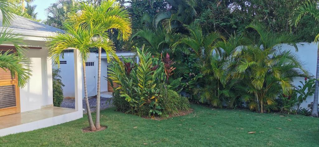 Zahrada ubytování Flor de Coco, Villa neuve, 5 chambres, 5 salles de bains et grande piscine à 250 mètres de la plage