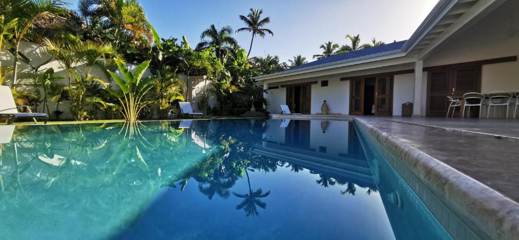 Bazén v ubytování Flor de Coco, Villa neuve, 5 chambres, 5 salles de bains et grande piscine à 250 mètres de la plage nebo v jeho okolí