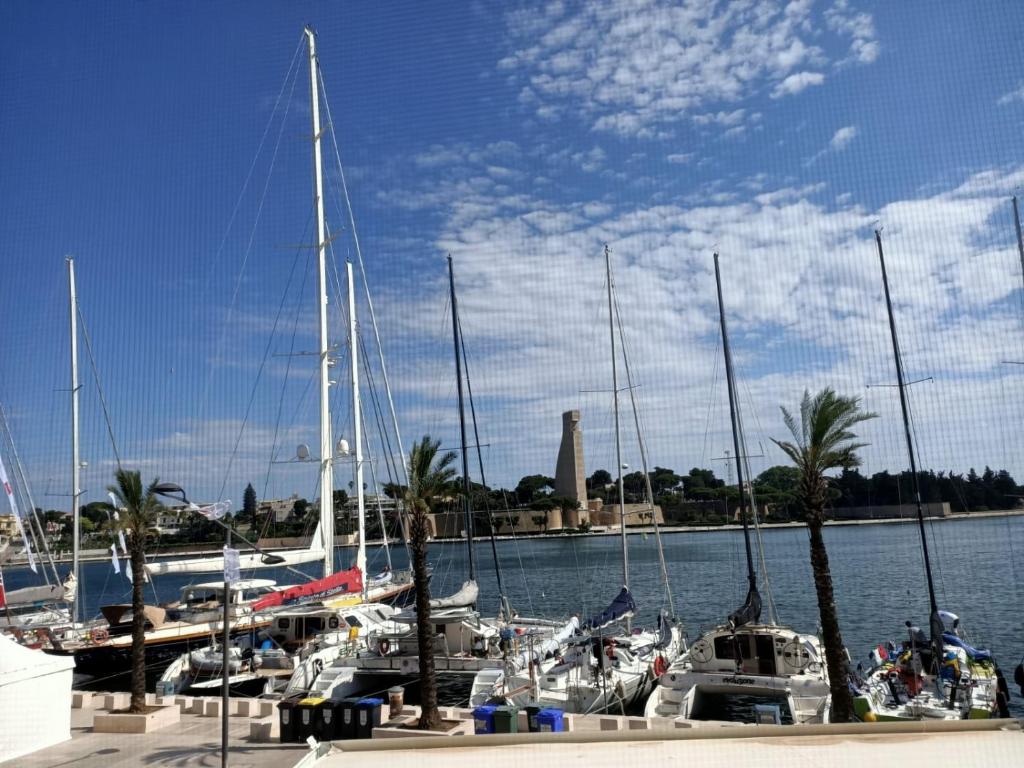 un grupo de barcos atracados en un puerto deportivo con palmeras en B&B Regina Margherita, en Brindisi