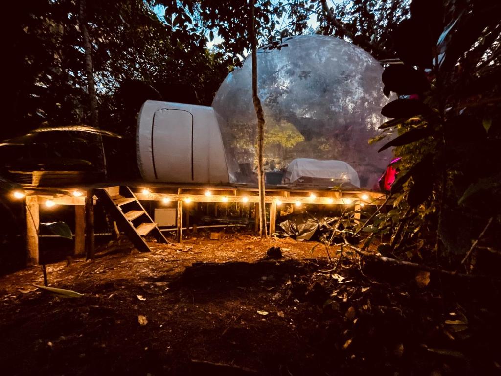 Galeriebild der Unterkunft Glamping Amazonas in Leticia