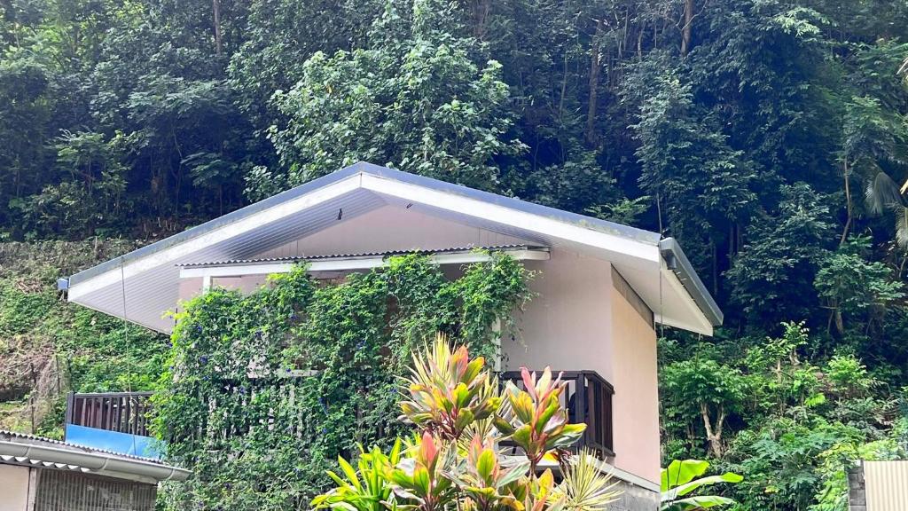 una casa con vides creciendo a su lado en Matatia Lodge, en Punaauia
