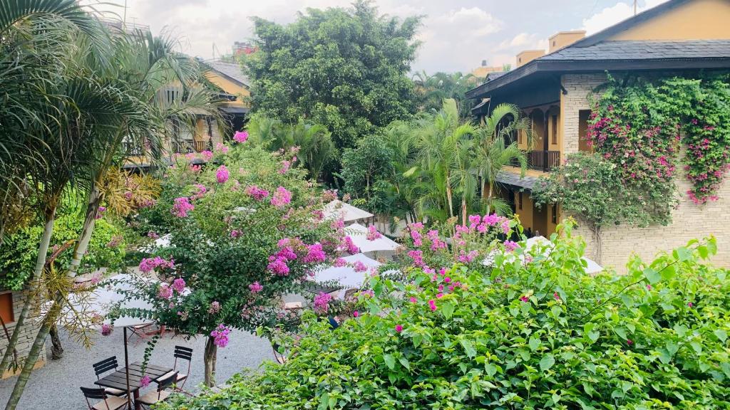 Jardí fora de Temple Tree Resort & Spa