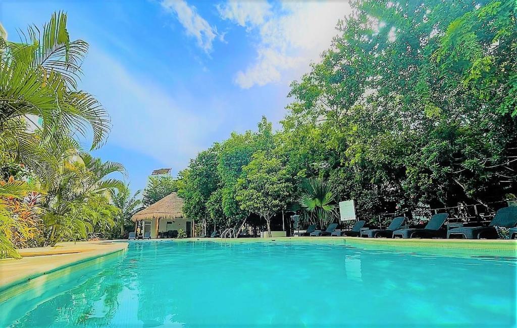 Apartamentos En Playa Del Carmen