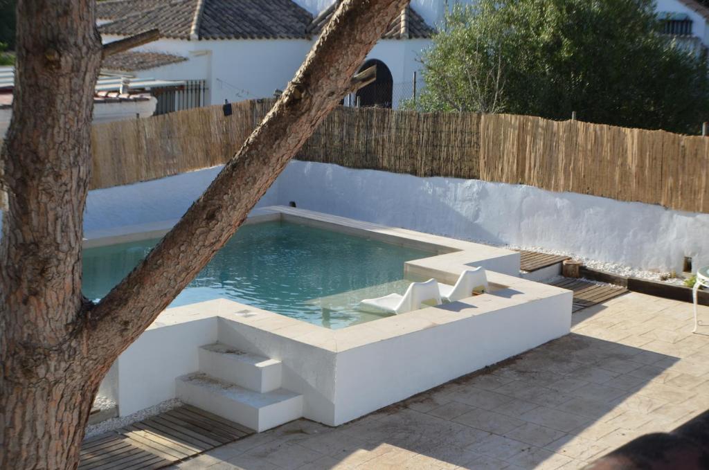 uma piscina com uma árvore ao lado de uma cerca em La Estrella - piscina privada em Chiclana de la Frontera