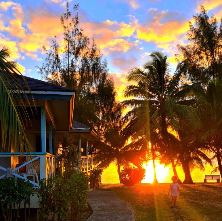 Amuri的住宿－Sunny Beach Bungalows - Aitutaki，相簿中的一張相片