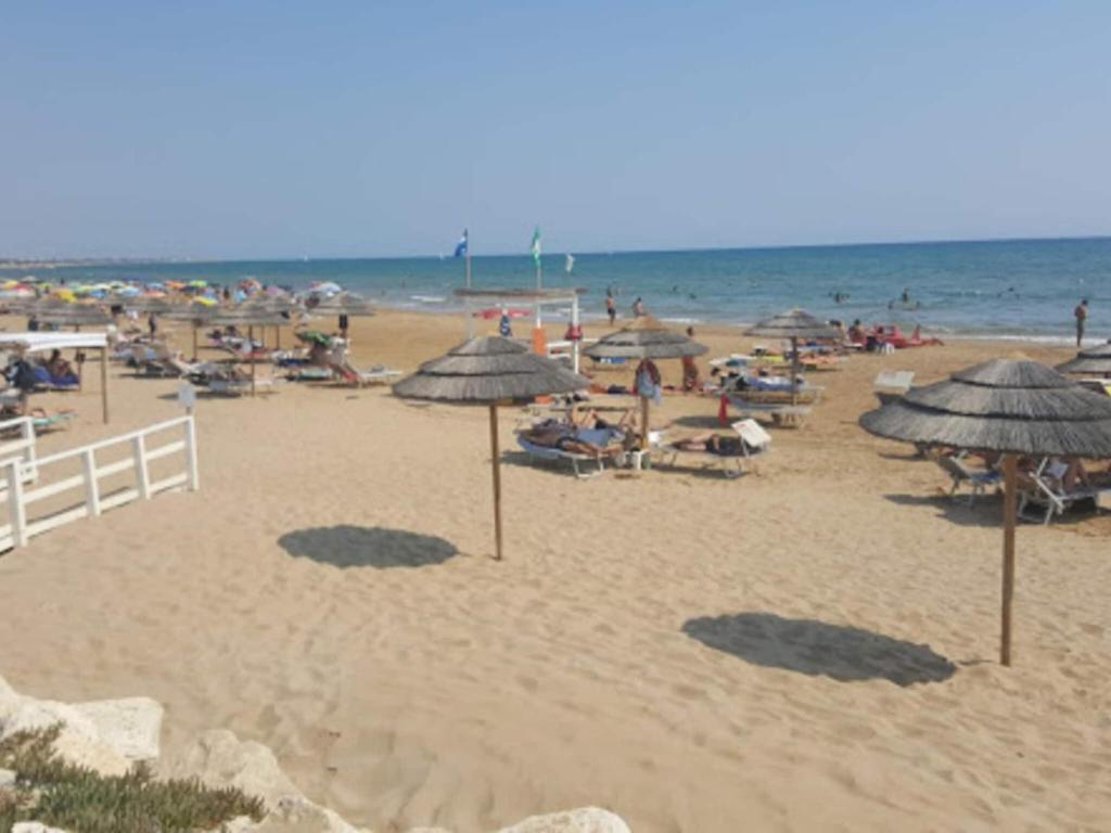 Pláž pri apartmáne alebo v blízkosti