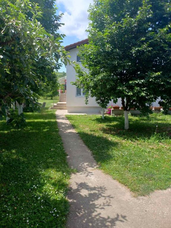 a path in front of a house with trees at Apartman Flora Vrdnik in Vrdnik