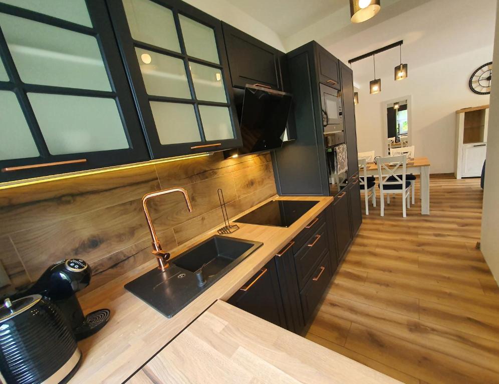 Apartamenty Ski & Fun Spokojna - 19