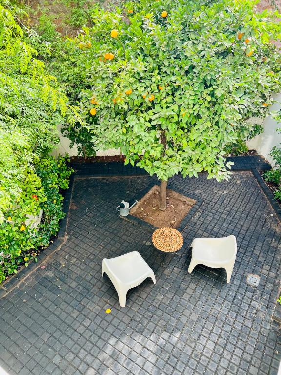 Zahrada ubytování MORO Marrakech Boutique Hôtel
