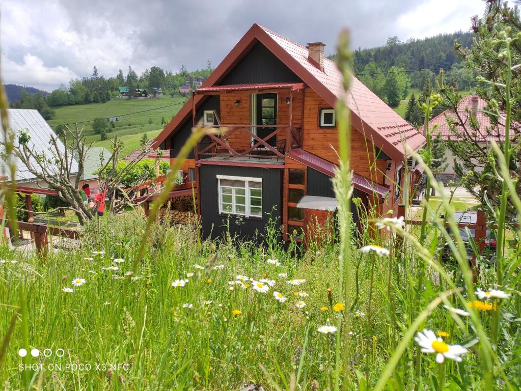 Príroda v okolí apartmánu