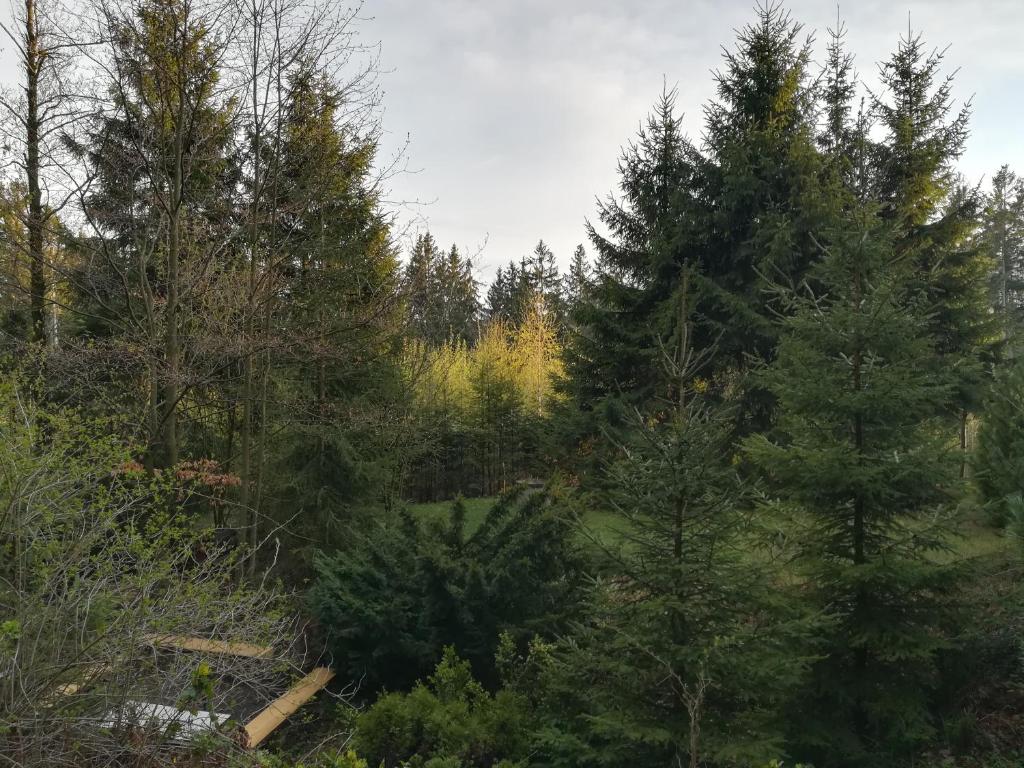 Příroda nedaleko apartmánu