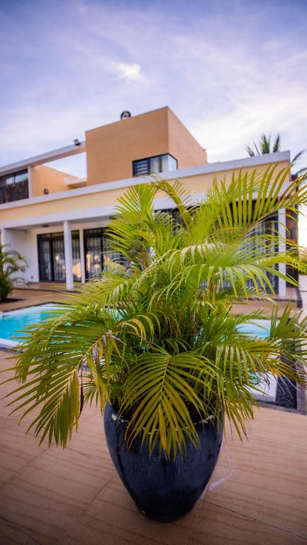 Bazén v ubytování Villa Simone: Sunlit Beach Getaway w/ Pool + WIFI nebo v jeho okolí