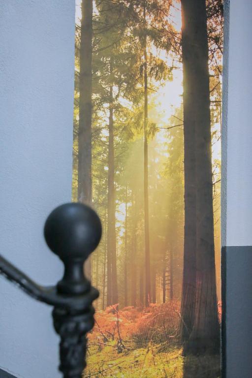 Príroda v okolí apartmánu