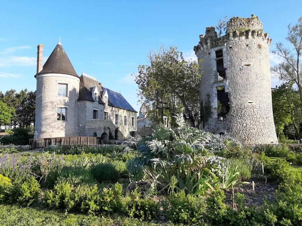 un vecchio castello con due torri in un giardino di Château médiéval avec piscine privée et jardin, animaux acceptés - FR-1-381-410 a Saint-Bauld