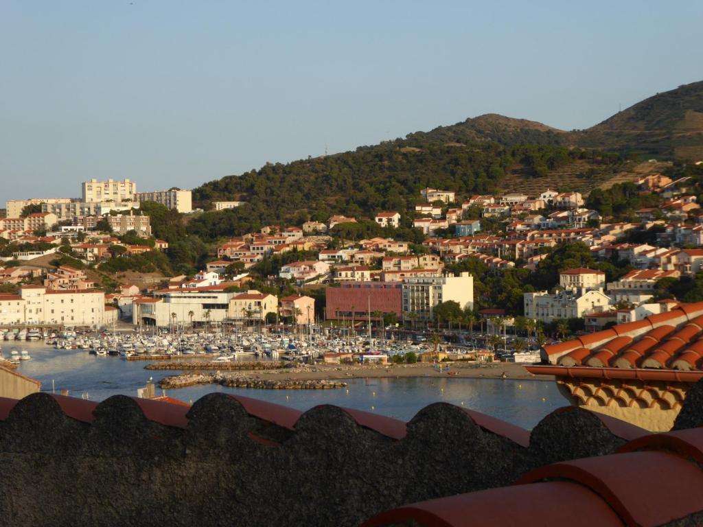 a view of a city with a harbor and buildings at Studio Climatisé à Banyuls-sur-Mer, Terrasse, WIFI, Proche Plage - FR-1-309-323 in Banyuls-sur-Mer