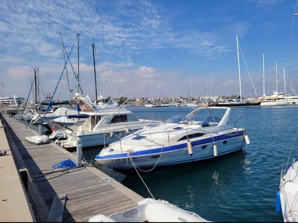 a group of boats docked at a dock in the water at Beamar in Valencia