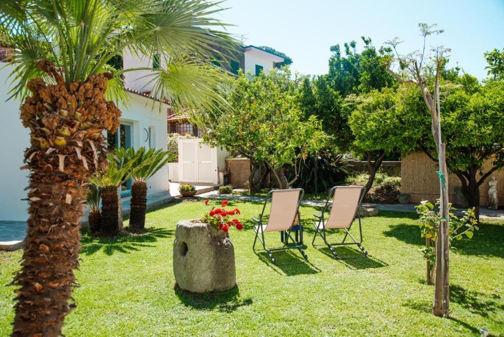Zahrada ubytování Garden apartments Ischia super centrale