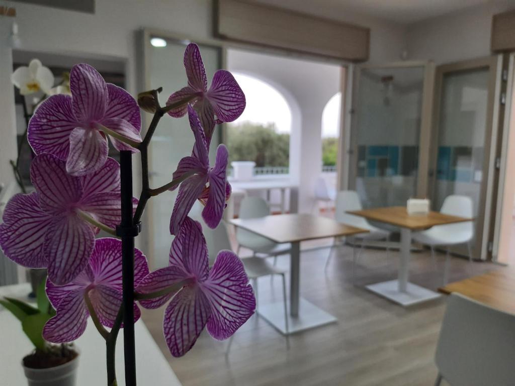 una flor púrpura en un jarrón en una habitación en Shekhinah Bed and Breakfast Home Restaurant, en Maruggio