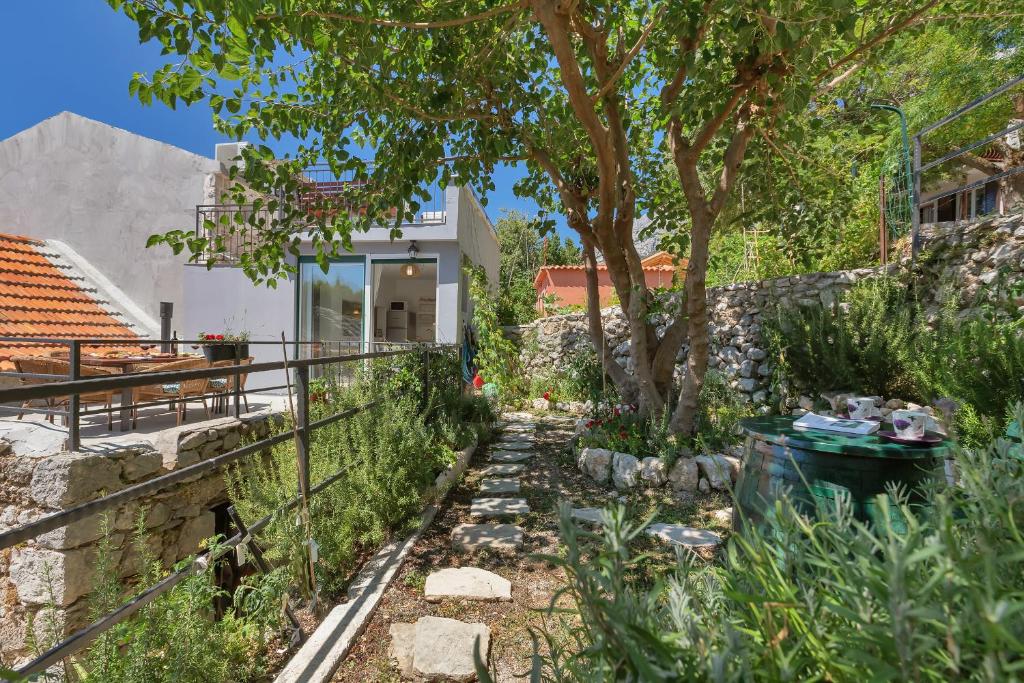 Vonkajšia záhrada v ubytovaní Holiday House Nede