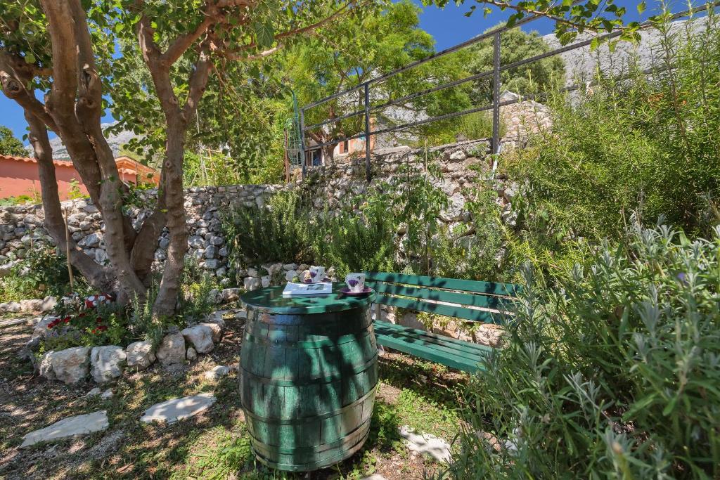 Vonkajšia záhrada v ubytovaní Holiday House Nede