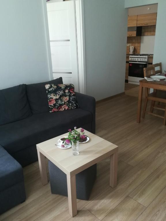 Kuchyňa alebo kuchynka v ubytovaní Apartament Parkowy 2 pokojowy