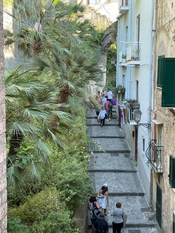 Hosté ubytování Casa a Mare