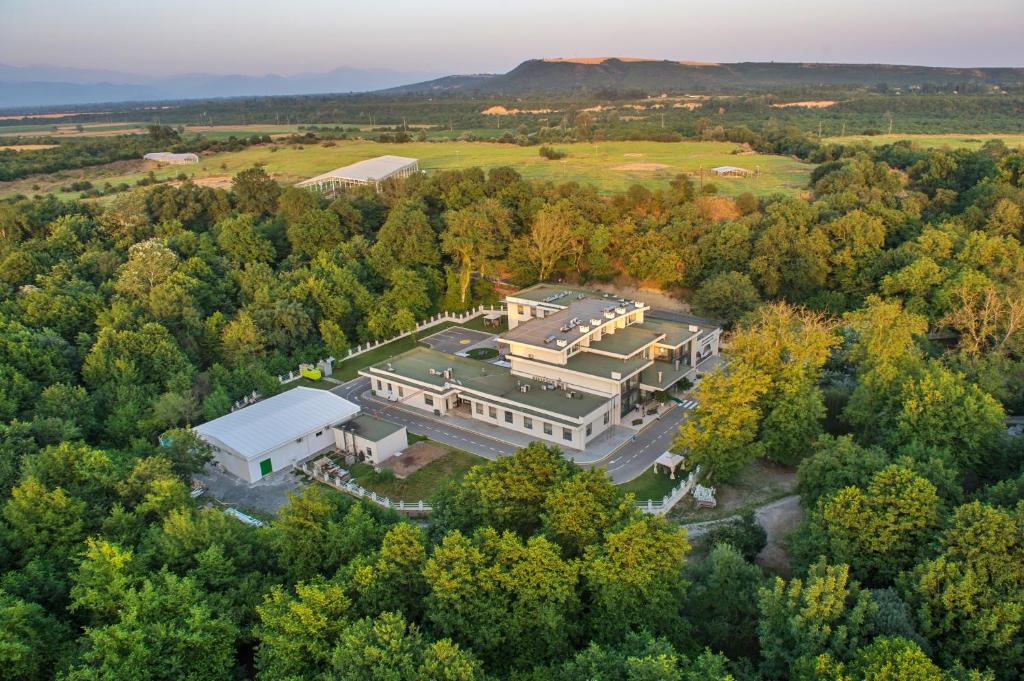 an aerial view of a large mansion in the woods at Gabala Qoruq Resort in Gabala