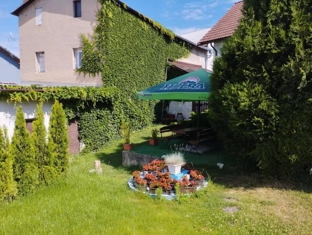 Zahrada ubytování Penzion Restaurace u Helferů