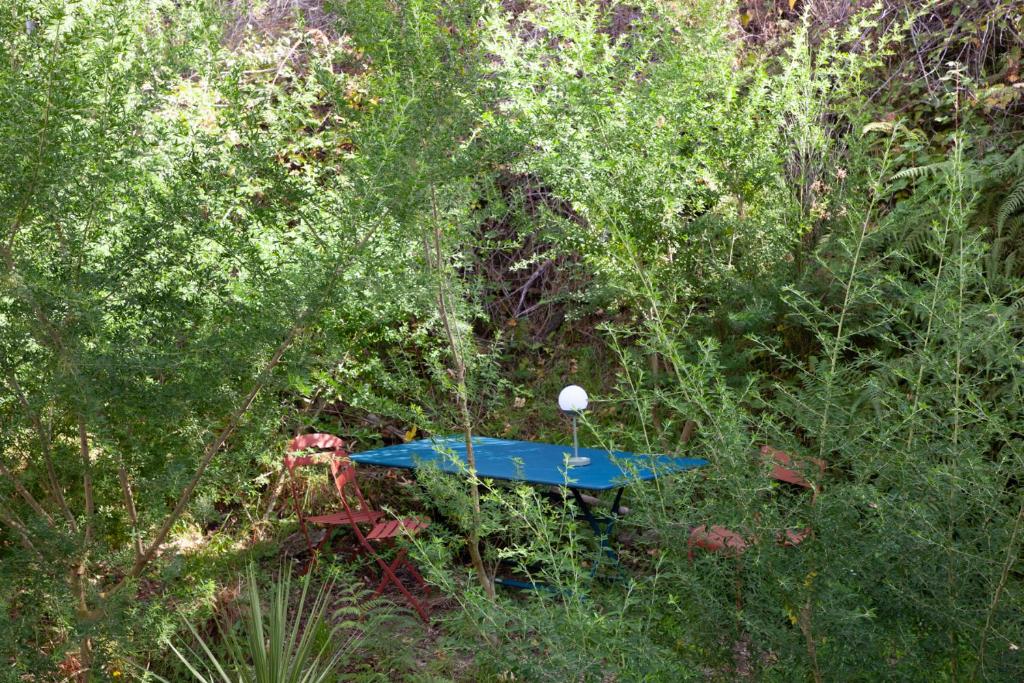 The Princes Apartment - Resim 17